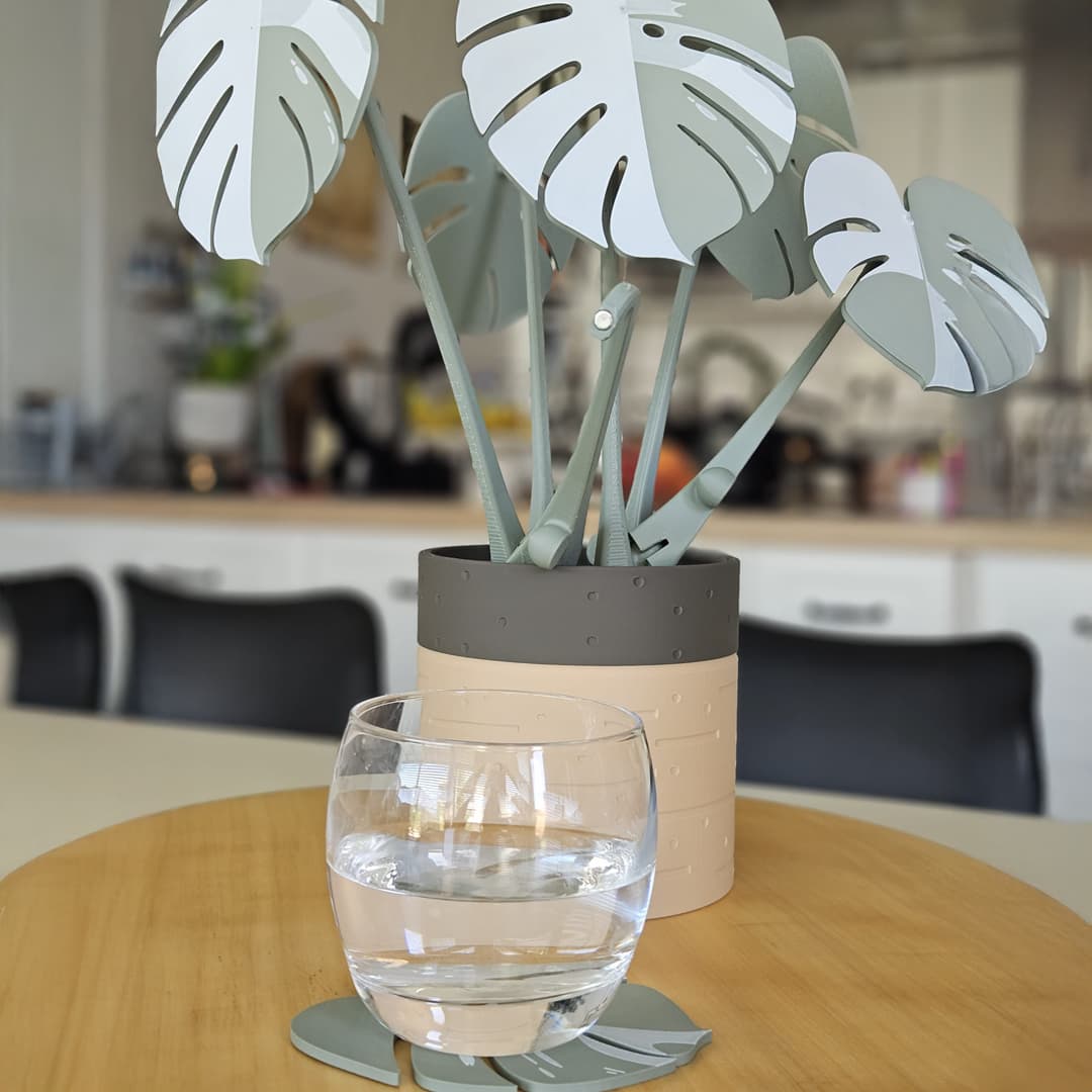 Monstera Magnetica